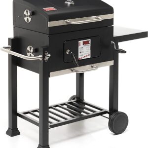 SALMAR BARBECUE CARBONELLA